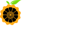 orange pi logo